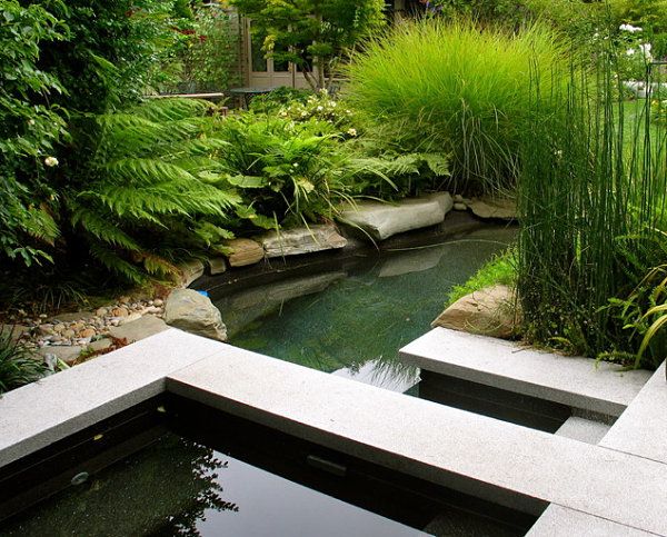 bassin séparé pierre jardin