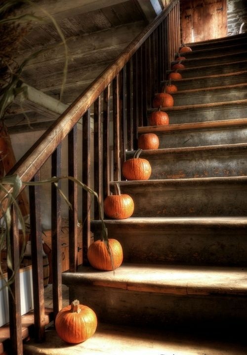 bel escalier rustique orné citrouilles