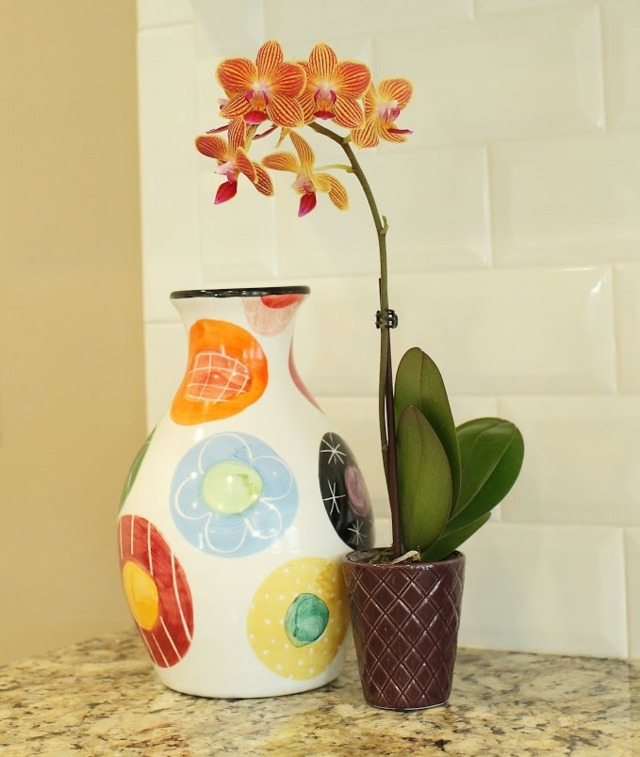belle decoration simple orchidee orange