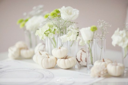blanc règne sur table élégante parée fleurs potirons