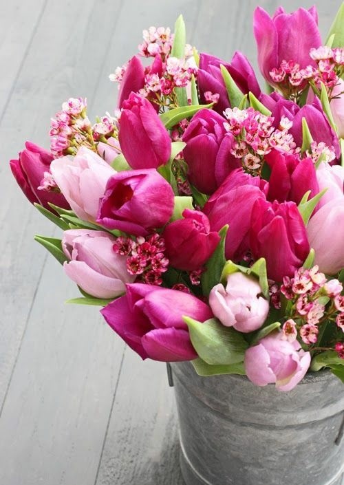 bouquet tulipes couleur rose