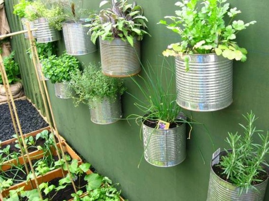 boîtes conserve converties pots fleurs accrochés mur