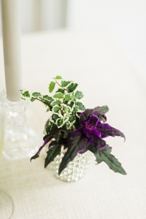 centre de table DIY petit vase differentes plantes