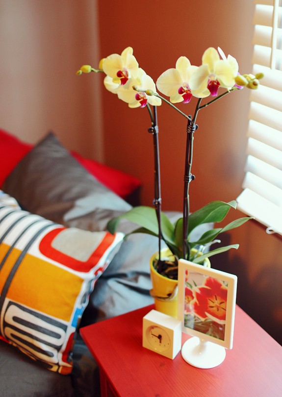 chambre coucher table nuit rouge orchidee jaune
