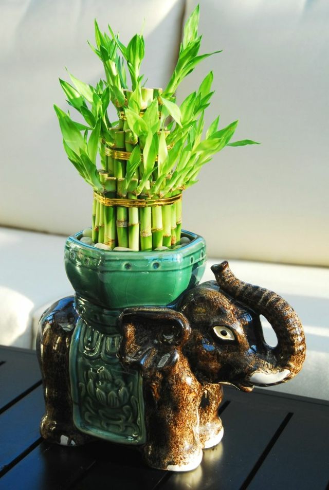 chance maison bambous pot elephant