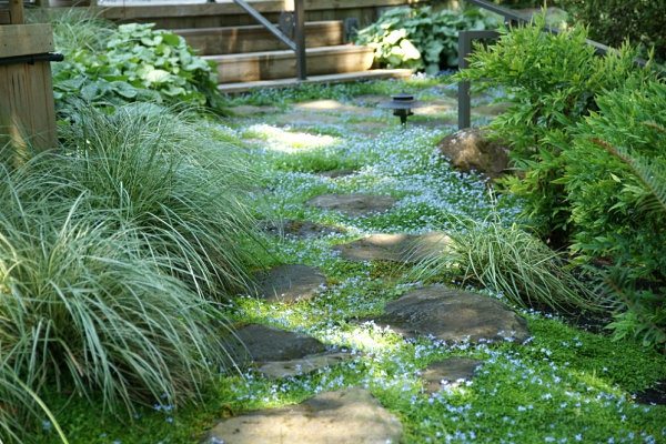 chemin pierres pour jardin romantique