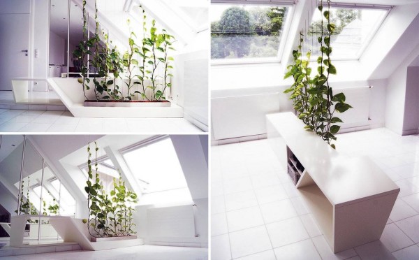 cloison plantes appartement idée originale