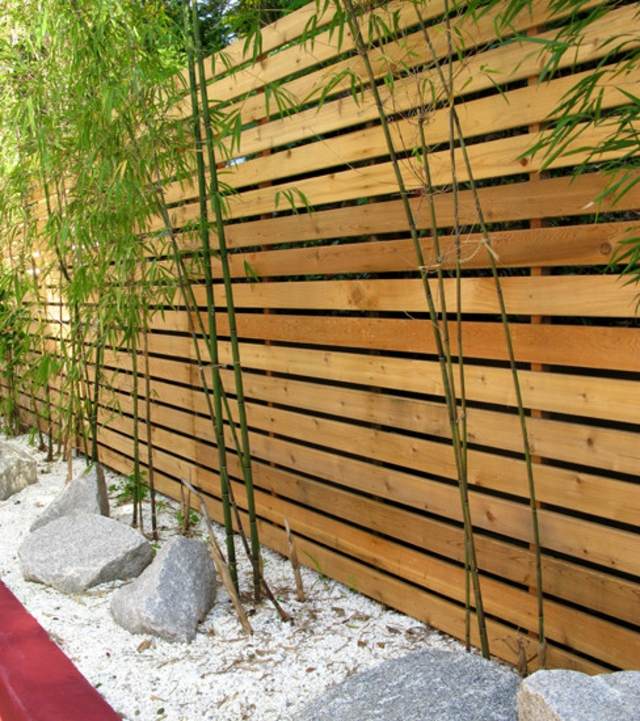 cloture bois bambous