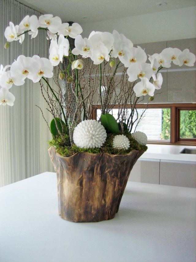 composition orchidees mousse vert boules blanches