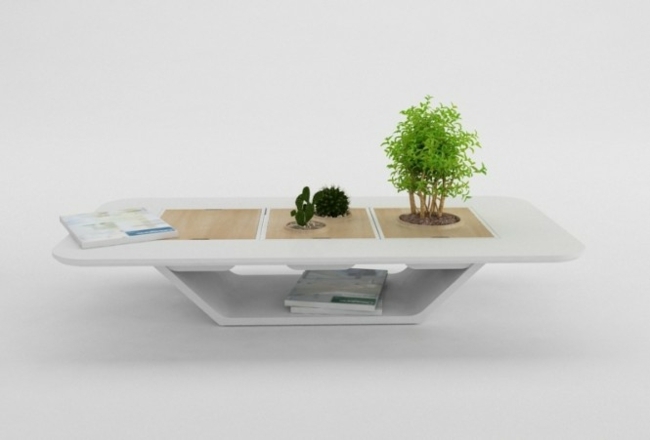 compositions avec bonsai table