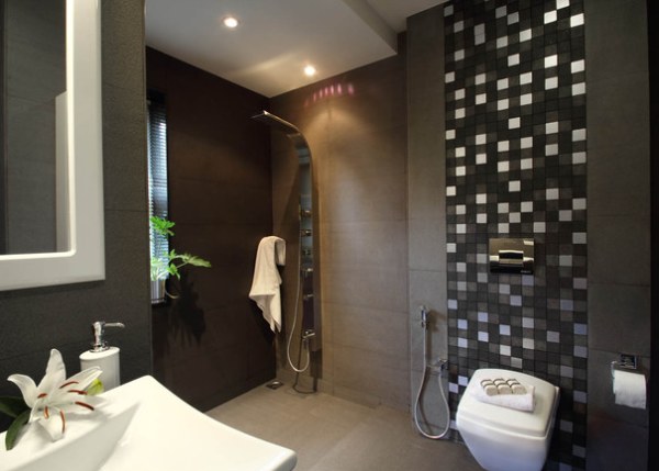 couleur sombre salle bain design