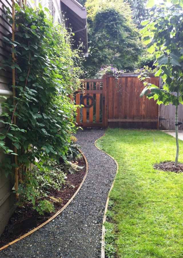 cour lateral jardin bordure gravier gazon plante grimpant verdure