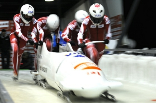 course luge bobsleigh