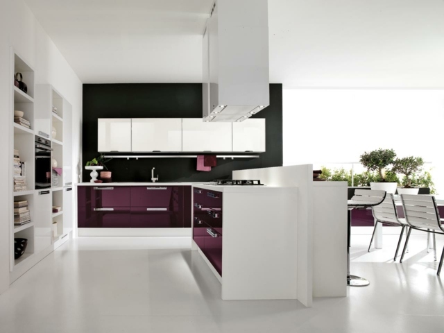 cuisine blanc noir violet