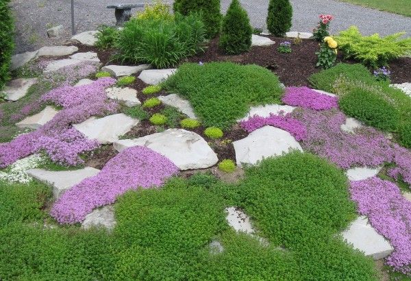 décoration jardin originale fleurs violettes