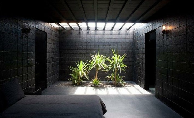 déco noire chambre moderne minimaliste plantes