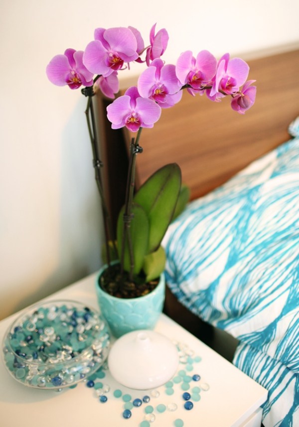 decoration chambre coucher blue orchidee violette