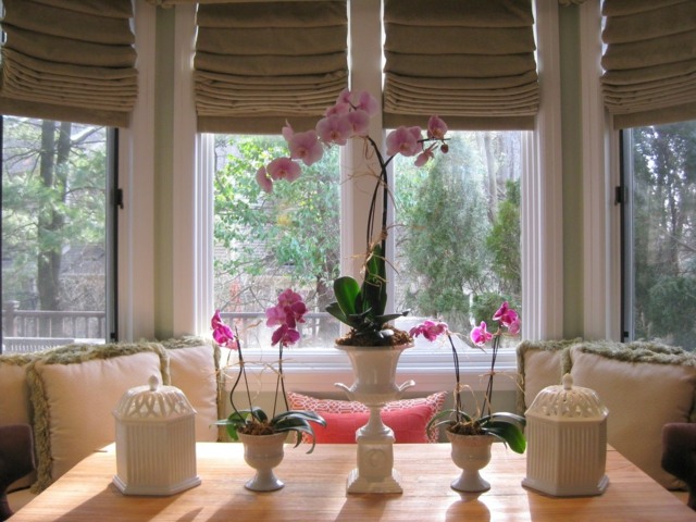 decoration orchidees plantées porcelaine blanche