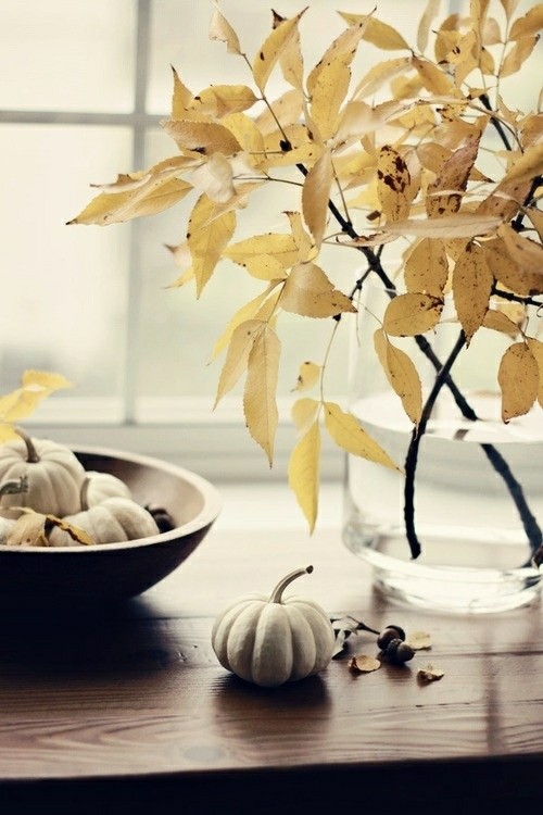 decoration simple branches automne