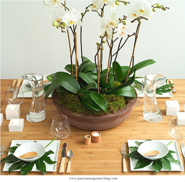 decoration table orchidees blanches mousse verte