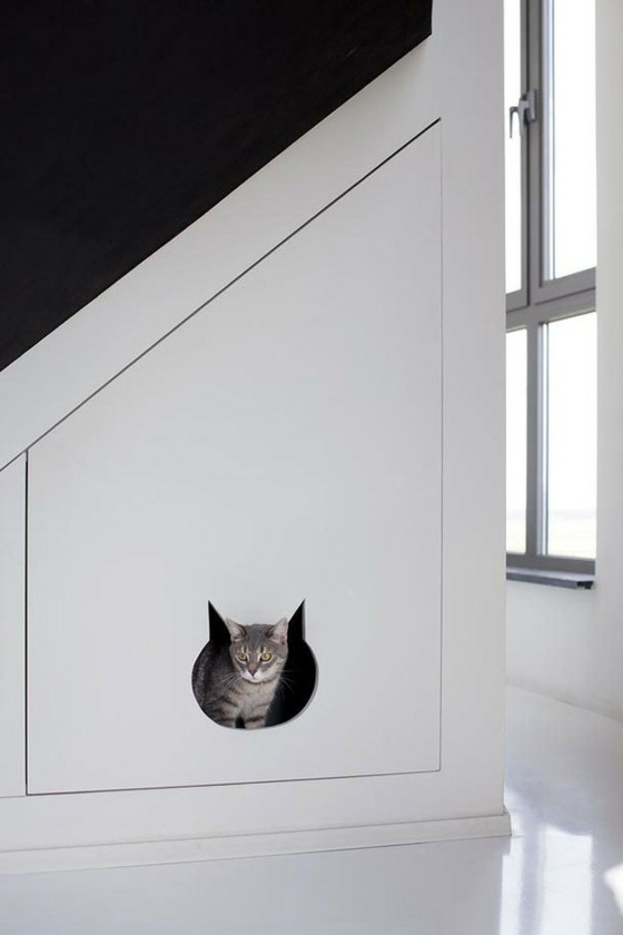 design intérieur chat maison pente toit
