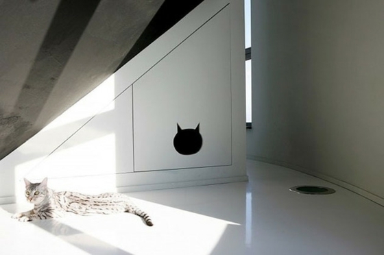 design intérieur pente toit chat belge