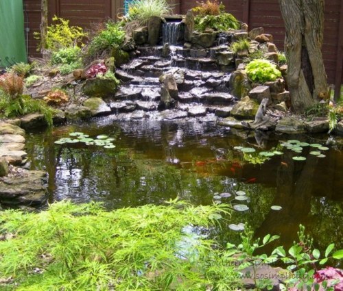 detail cascade bassin jardin