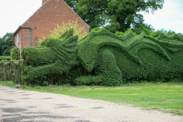 dragon haie norfolk art topiaire sculpture