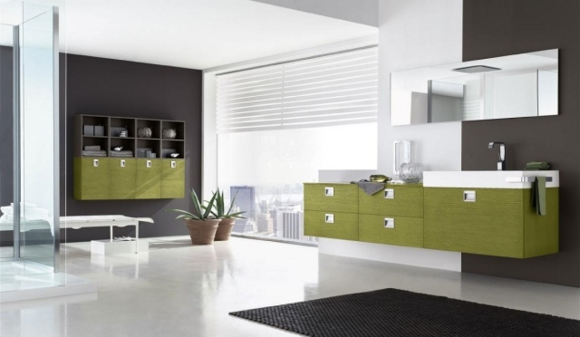 déco-salle-bains-mobilier-couleurs-meuble-vasque-armoires-vert-tapis-noir déco salle de bains