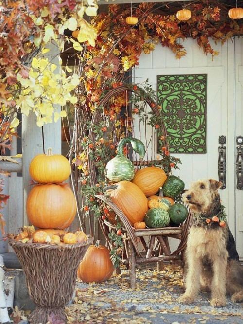 décoration automne veranda idee