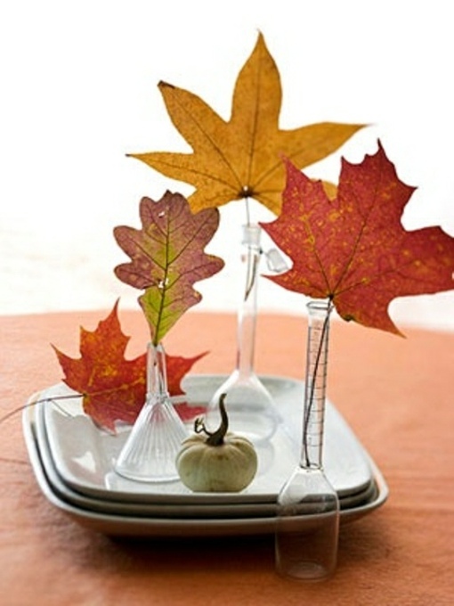 décoration d'automne feuilles diverses