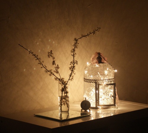 décoration-de-Noël-intérieur-lumières-cage-décoratif