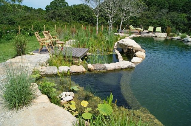 décoration jardin moderne piscine naturelle