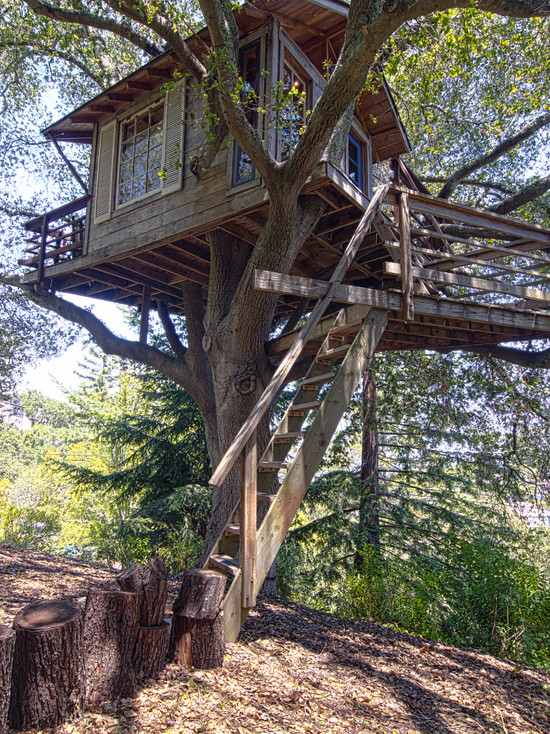 escalier cabane en bois