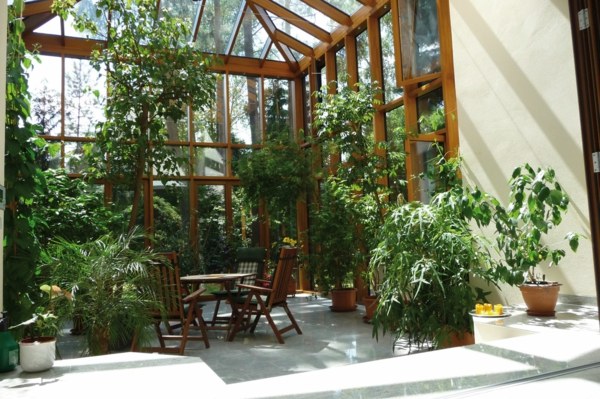 espace de détente jardin hiver plantes