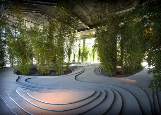 espace exterieur design plantes