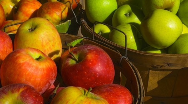 pommes et les poires sont les fruits typique de la saison 