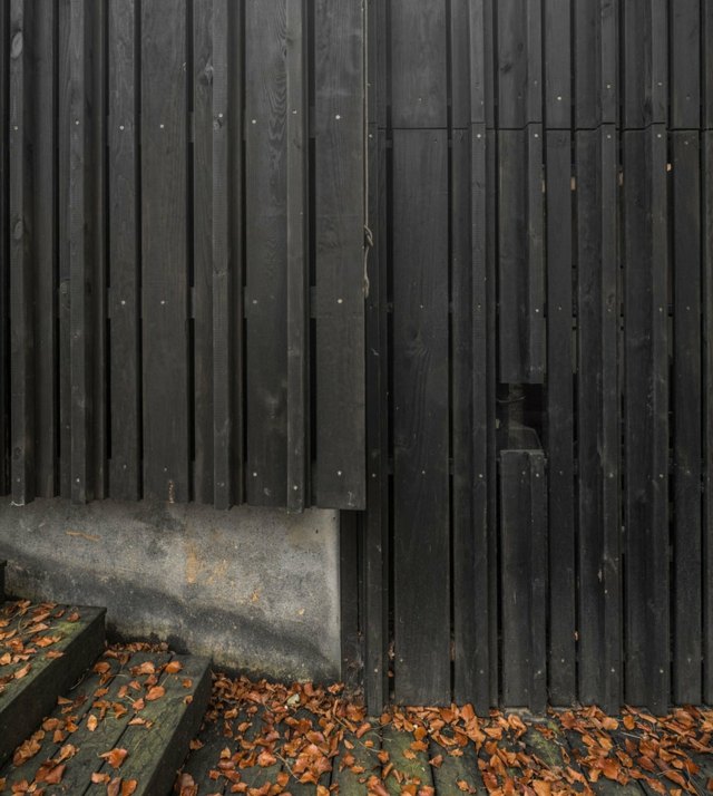 extension moderne maison bois