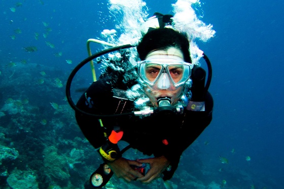faites plongée sous marine découvrez récifs monde sous marin