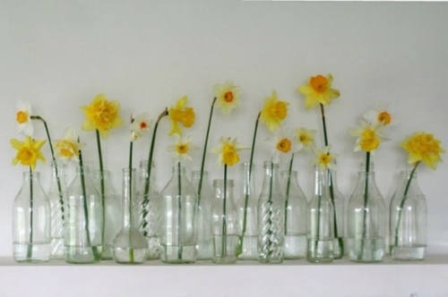 fleurs deco vases transparentes