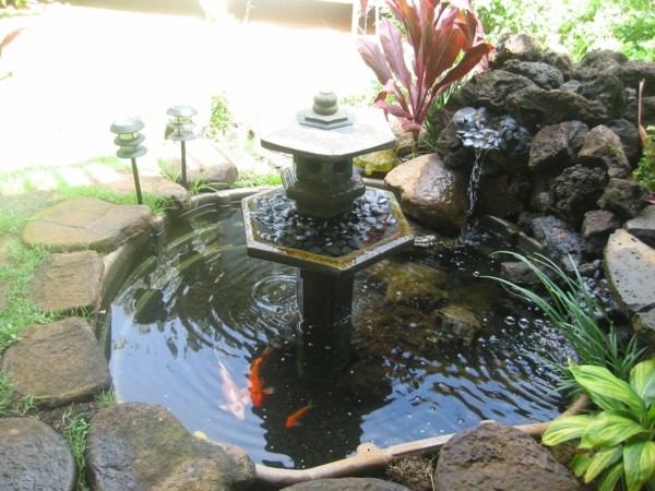 fontaine bassin à koi jardin