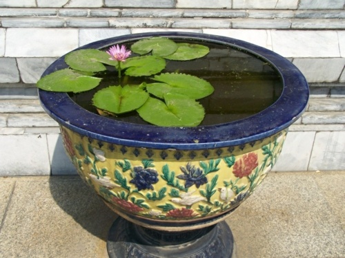 bassin eau carreau pierre porcelaine nenuphar plante fleur vasque