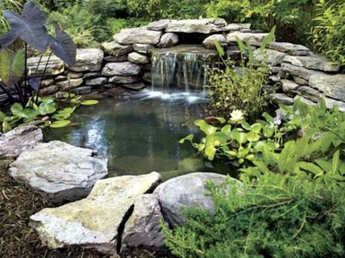 fontaine jardin bassin etang eau pierre