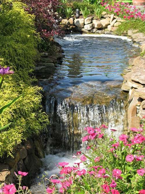 fontaine jardin chute eau fleur rose petunia