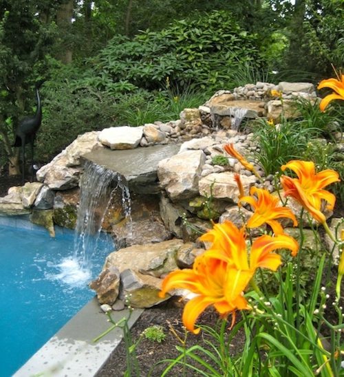 fontaine jardin coin piscine lys orange
