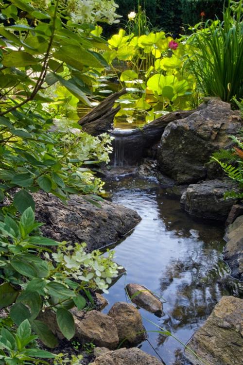 fontaine jardin eau rocher pierre plante
