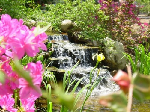 fontaine jardin fleur rose cascade eau ruisseau