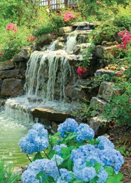 fontaine jardin hortense bleue fleur chute