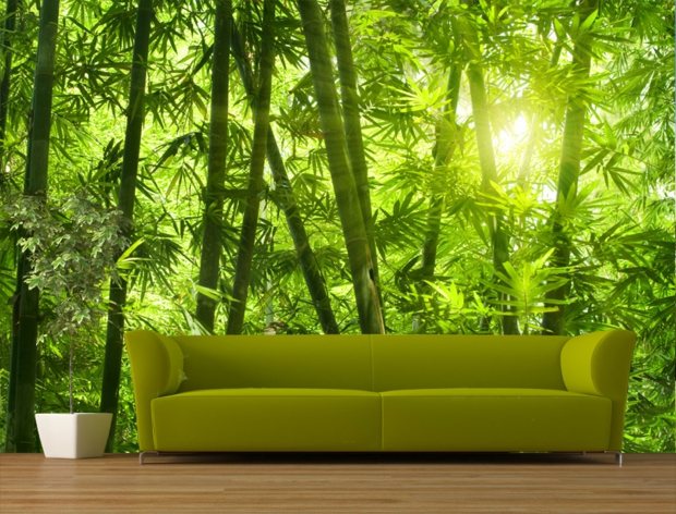 forêt tropicale dans votre intérieur et meuble assorti