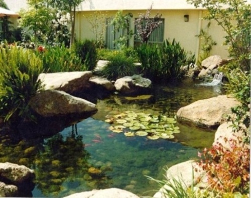 grand bassin jardin vue maison